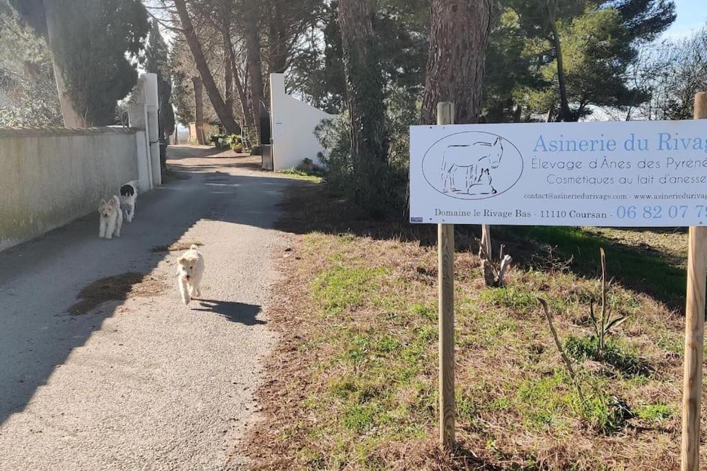 Au Coeur De La Nature Coursan Εξωτερικό φωτογραφία