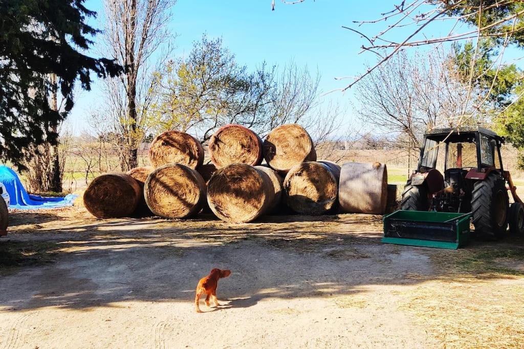 Au Coeur De La Nature Coursan Εξωτερικό φωτογραφία